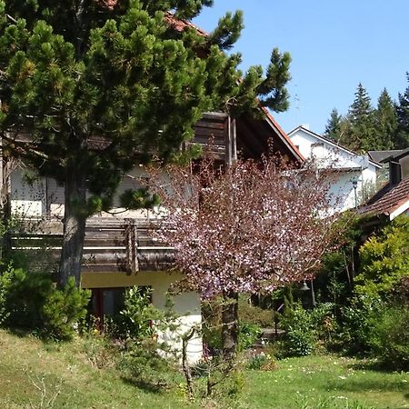 Ferienwohnung Heidi Batzlen Daisendorf ภายนอก รูปภาพ